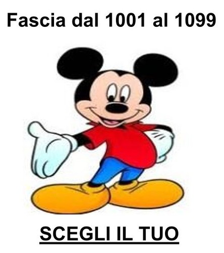 Topolino nuovi fascia - nuovi,
